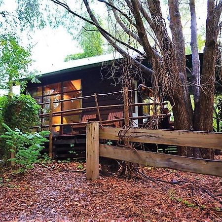 Black Cockatoo Lodge نانوب المظهر الخارجي الصورة
