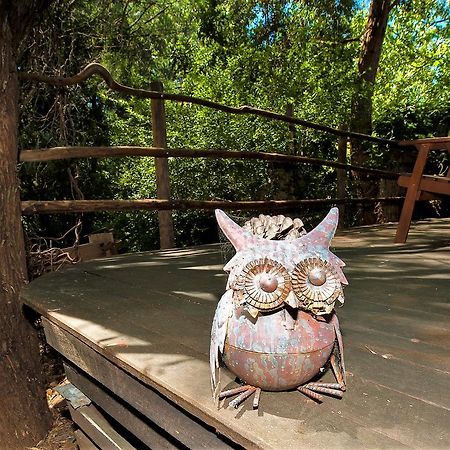 Black Cockatoo Lodge نانوب المظهر الخارجي الصورة