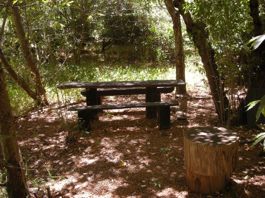 Black Cockatoo Lodge نانوب المظهر الخارجي الصورة