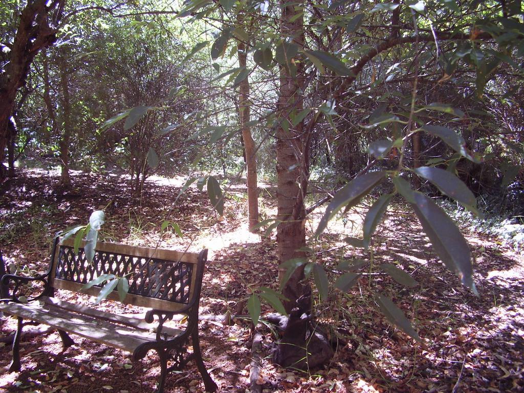 Black Cockatoo Lodge نانوب المظهر الخارجي الصورة