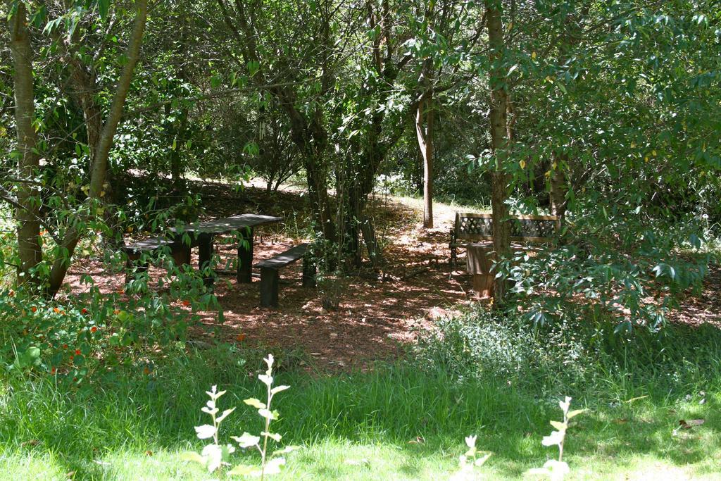 Black Cockatoo Lodge نانوب المظهر الخارجي الصورة