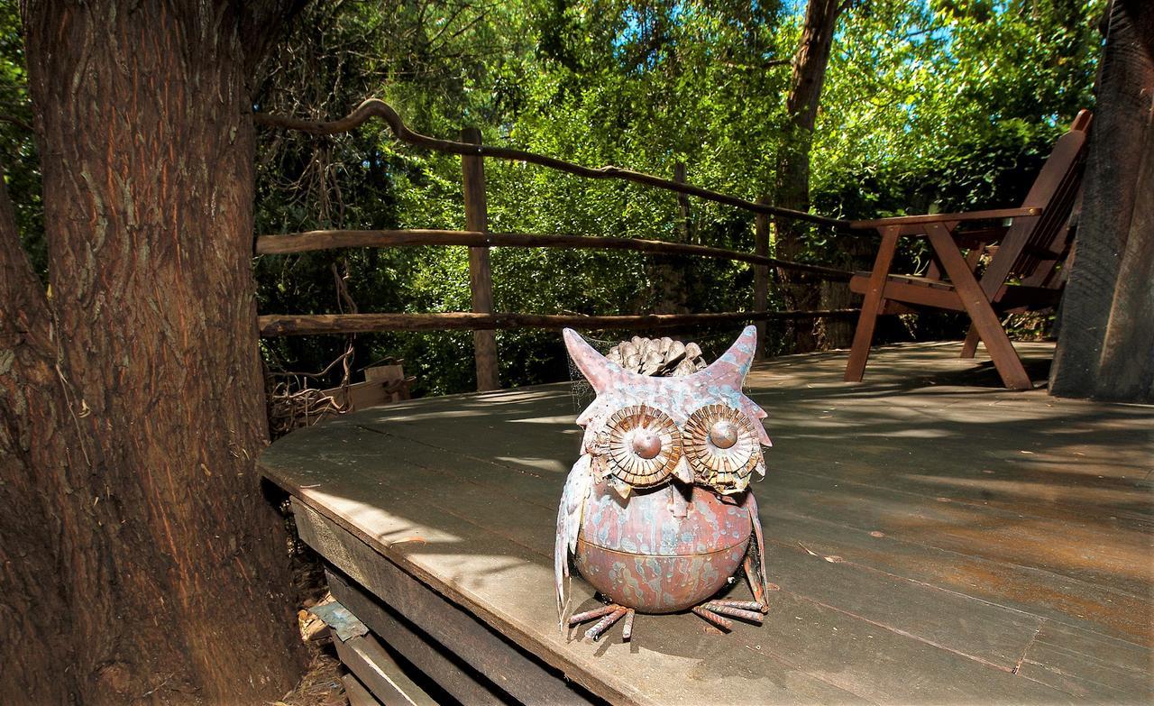 Black Cockatoo Lodge نانوب المظهر الخارجي الصورة