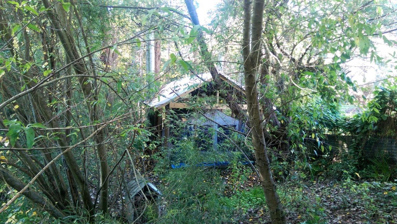 Black Cockatoo Lodge نانوب المظهر الخارجي الصورة